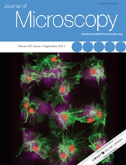 Stramer Grp front page Microscopy(184x241)